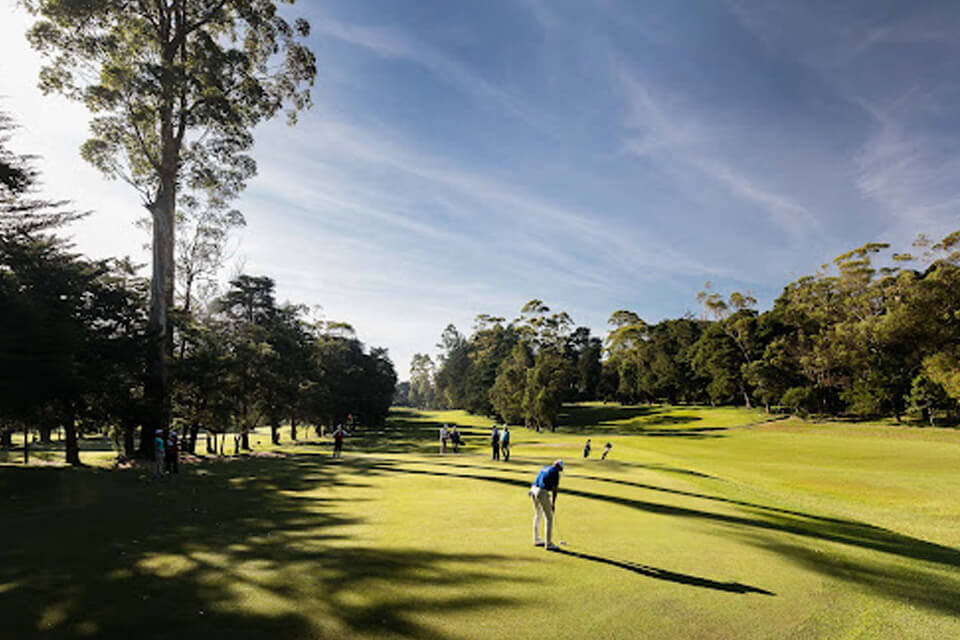 Dambulla Sri Lanka Travel